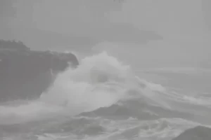 2025 10 871180974.png