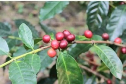 2025 10 873048992.png