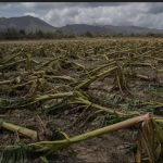 2025 10 877169470.png