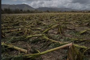 2025 10 877169470.png