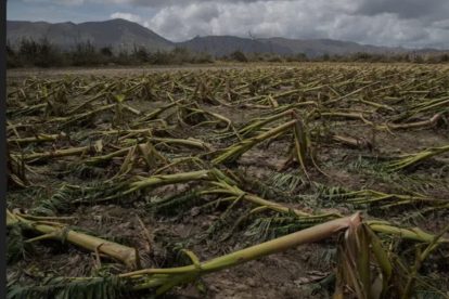 2025 10 877169470.png