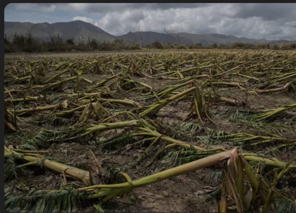 2025 10 877169470.png