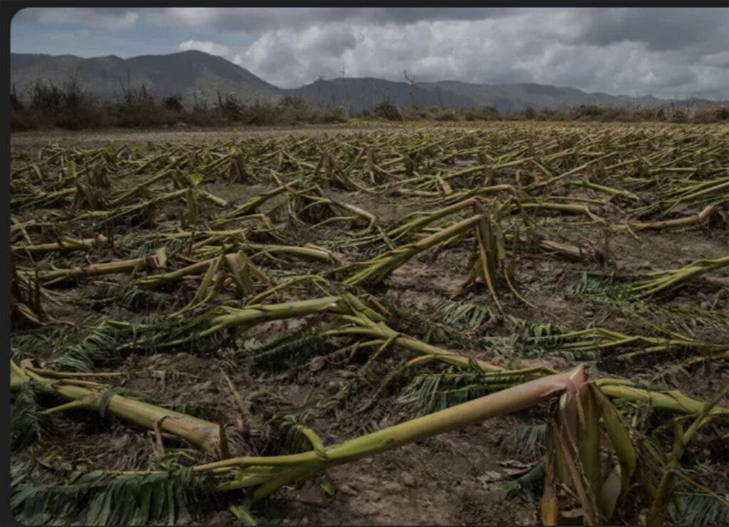 2025 10 877169470.png