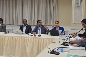 2025 10 878494766.png