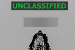 8916690305.png