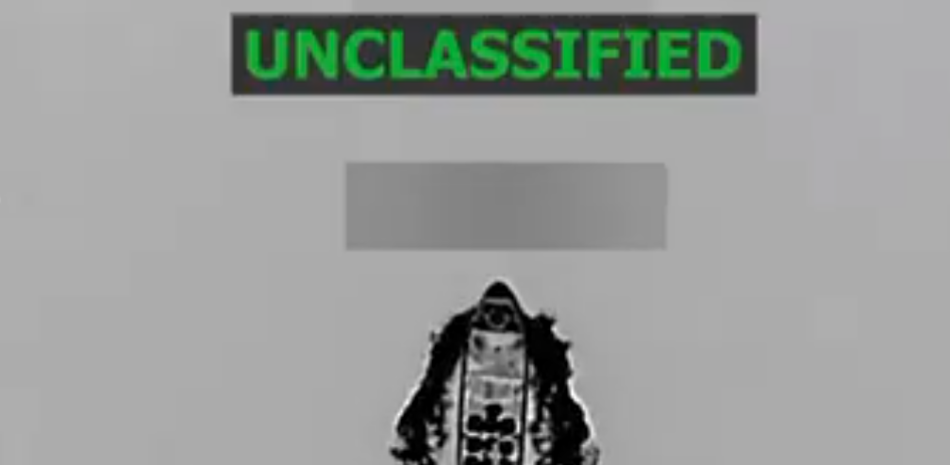 8916690305.png