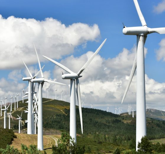 2025 10 879074309.png