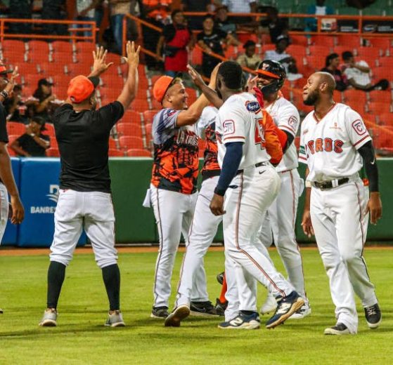 2025 11 879510139.png