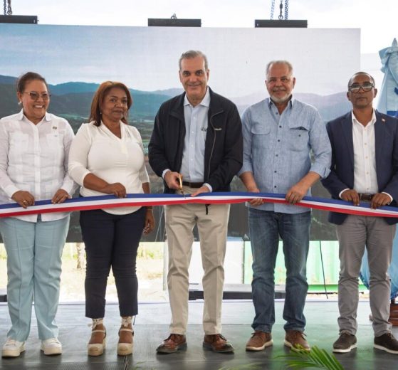 2025 11 880119119.png