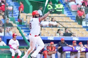 2025 11 880550047.png