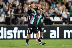 2025 11 880733900.png