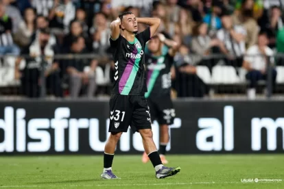 2025 11 880733900.png