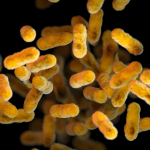 2025 11 883941172.png