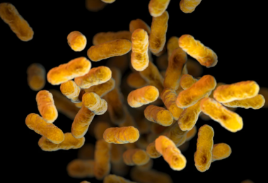 2025 11 883941172.png