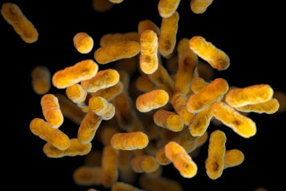 2025 11 883941172.png