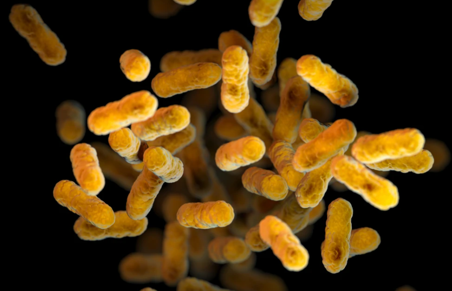 2025 11 883941172.png