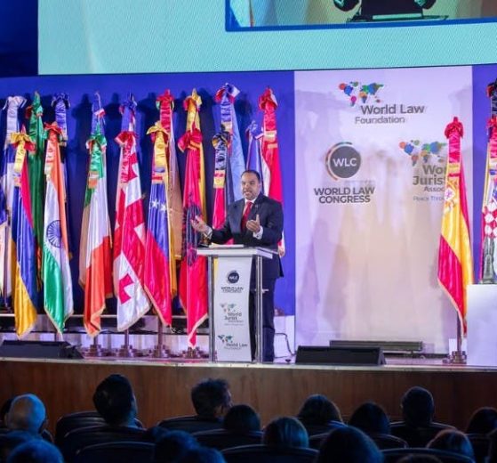 2025 11 884034686.png