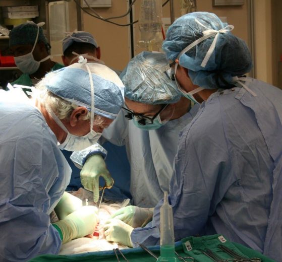 2025 11 884104976.png