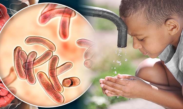 2025 11 884871710.png