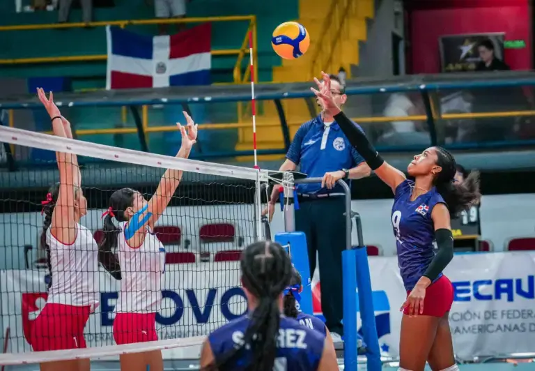 2025 11 886477555.png