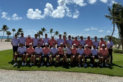 2025 11 886842250.png