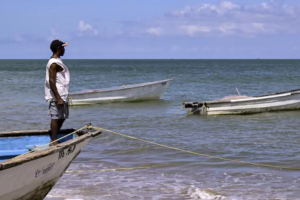 2025 11 887172490.png