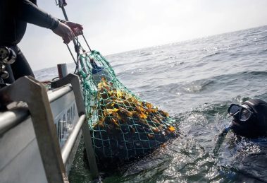 2025 11 887216807.png