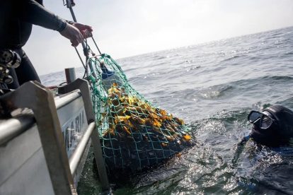 2025 11 887216807.png