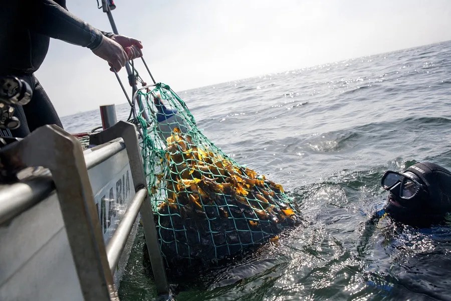 2025 11 887216807.png