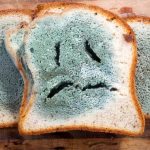 2025 11 887731205.png