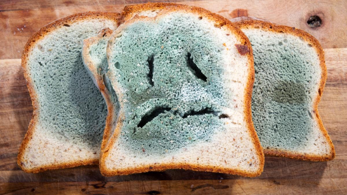 2025 11 887731205 2.png