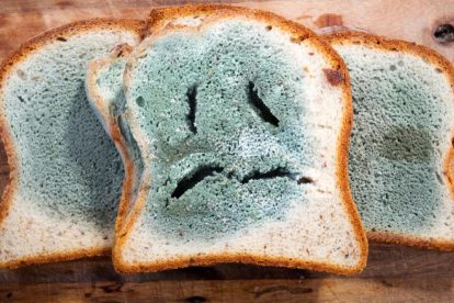 2025 11 887731205.png