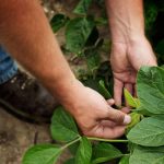 2025 11 887891210 1.png