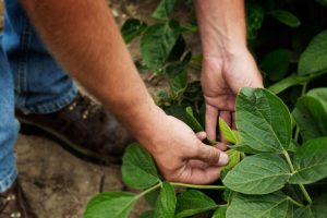 2025 11 887891210.png