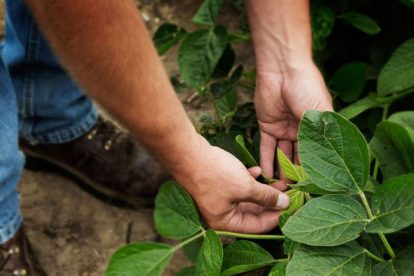 2025 11 887891210.png