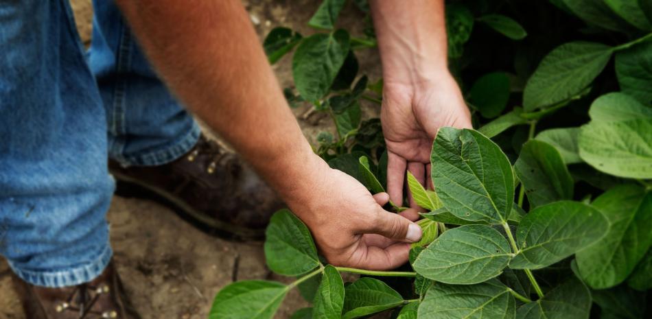 2025 11 887891210.png