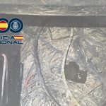 2025 11 888363483.png