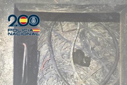 2025 11 888363483.png