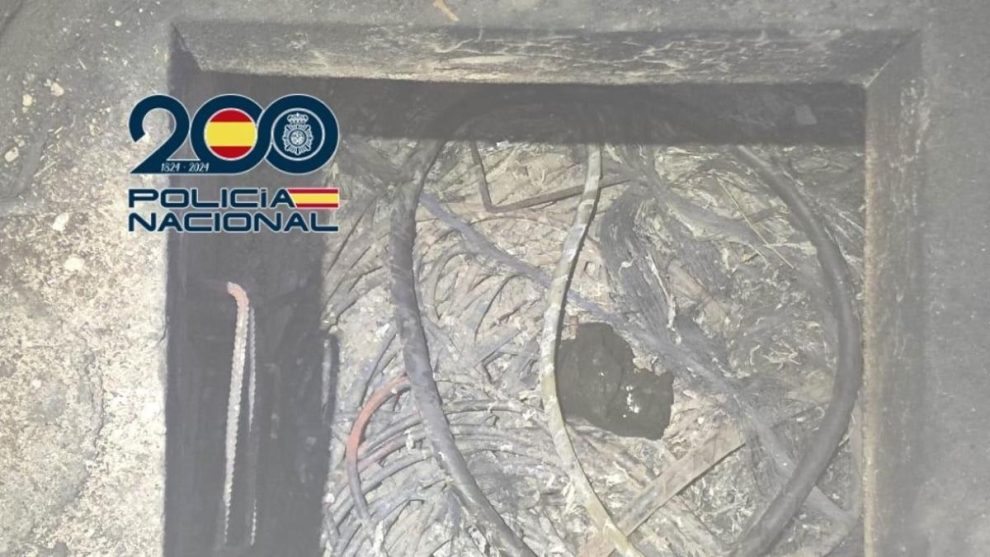 2025 11 888363483.png