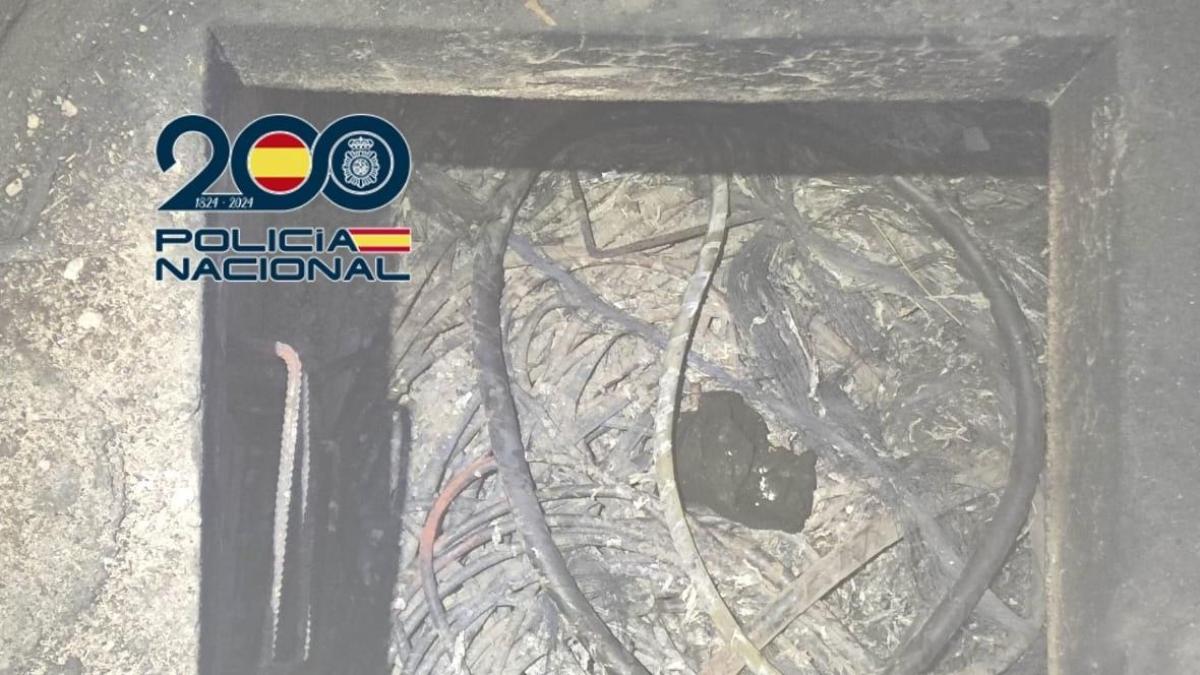 2025 11 888363483.png