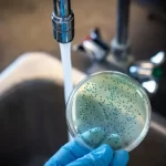 2025 11 890175522 1.png