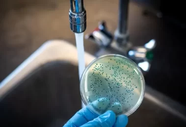 2025 11 890175522 1.png