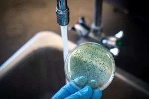 2025 11 890175522.png