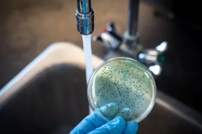 2025 11 890175522.png