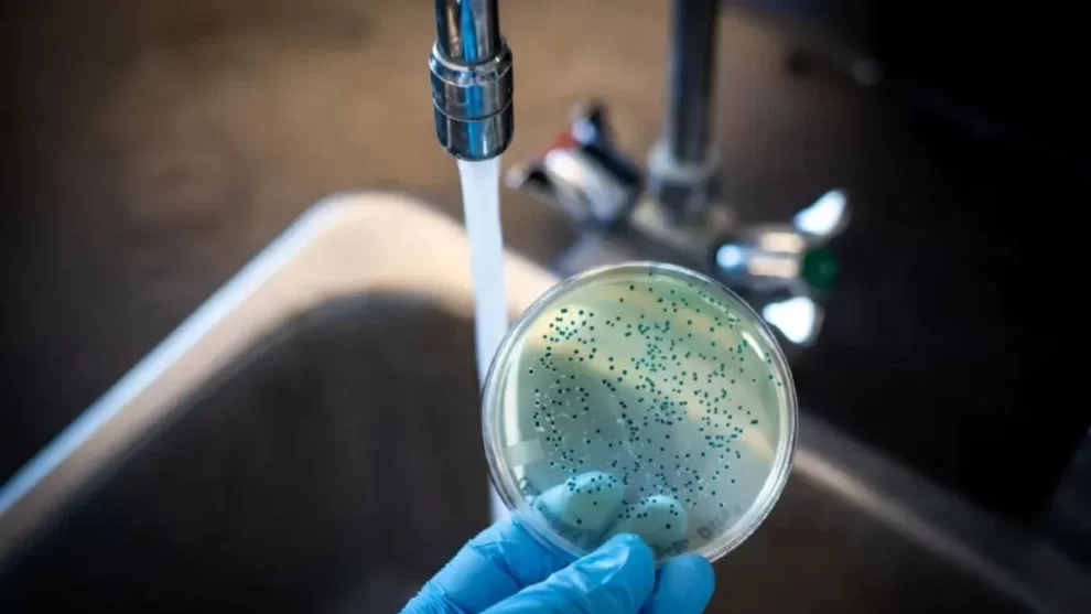 2025 11 890175522.png