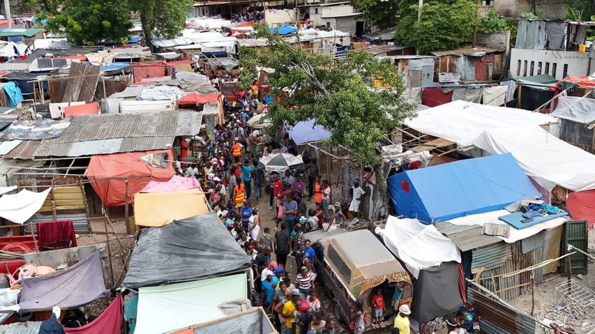 2025 11 890175523.png