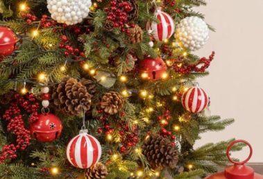 2025 11 890175556.png