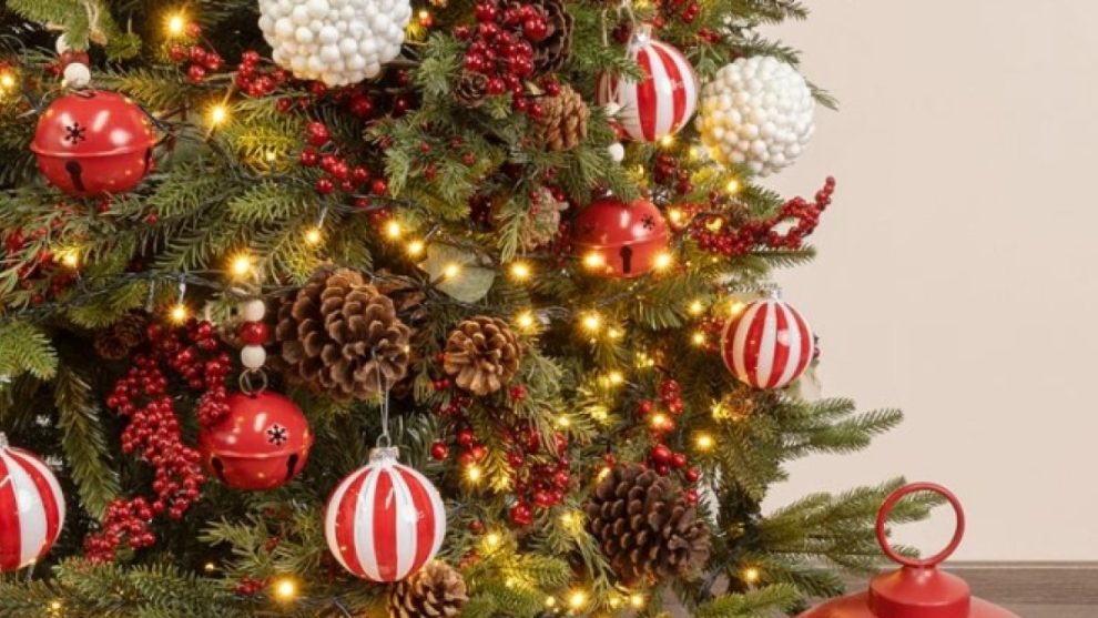 2025 11 890175556.png