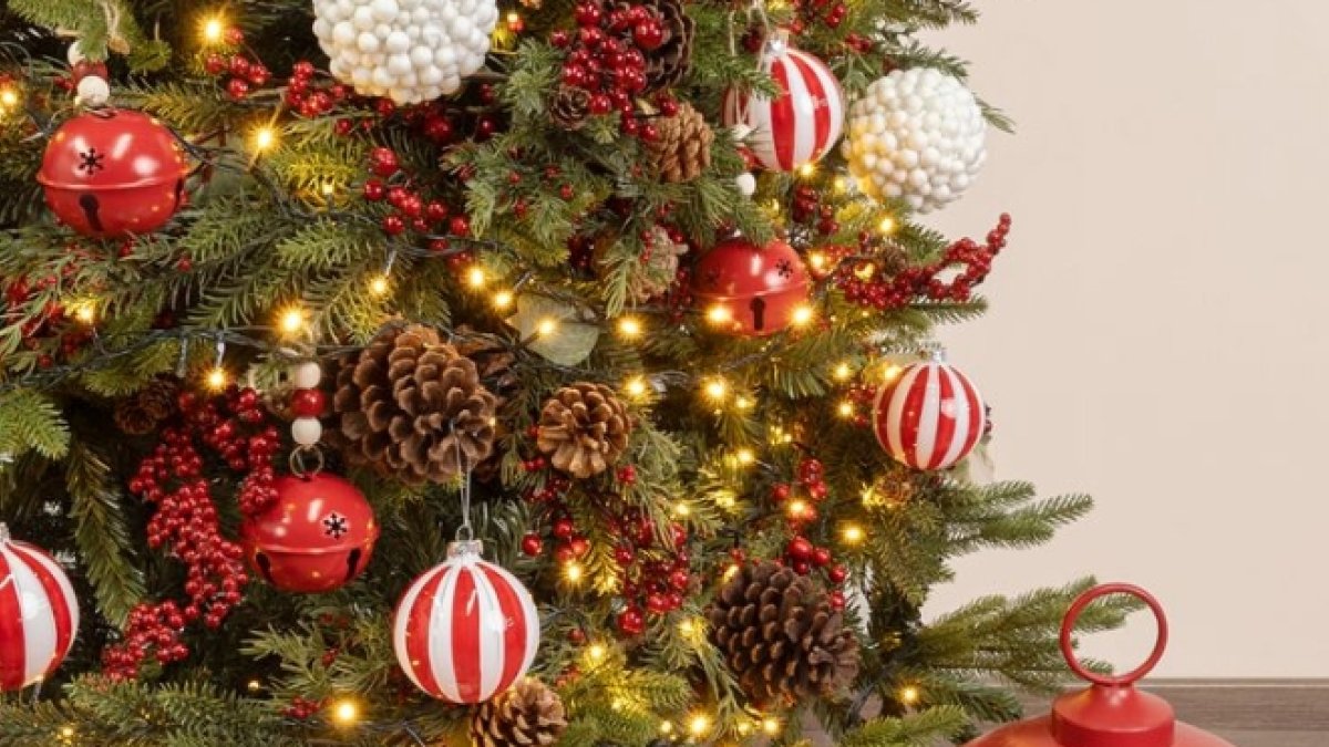 2025 11 890175556.png