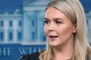 2025 11 891011847.png